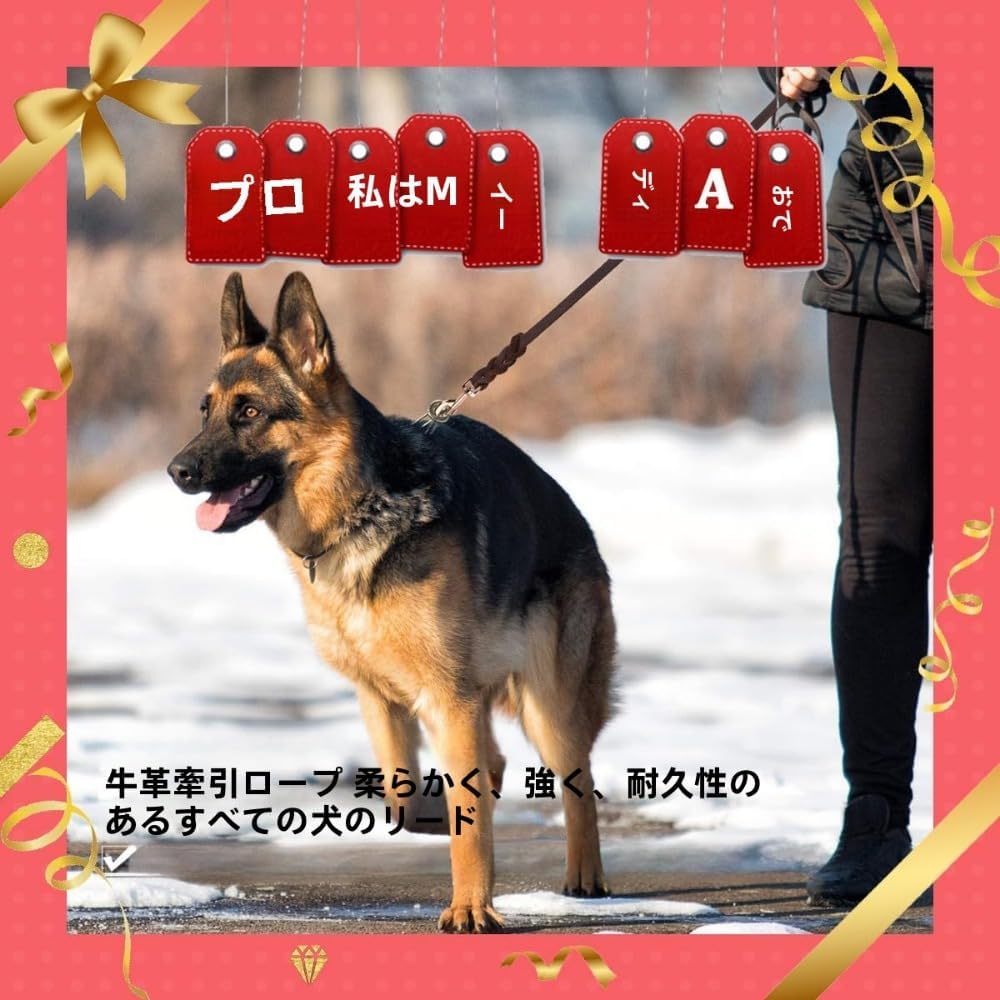 犬用リード革の大型/中型/小型犬用の犬の鎖編みこみの本革の行動トレーニングは、 アウトドアアドベンチャー、ハイキング、キャンプ、 ウォーキング用のロープをリードします (1.6m) thumbnail 3