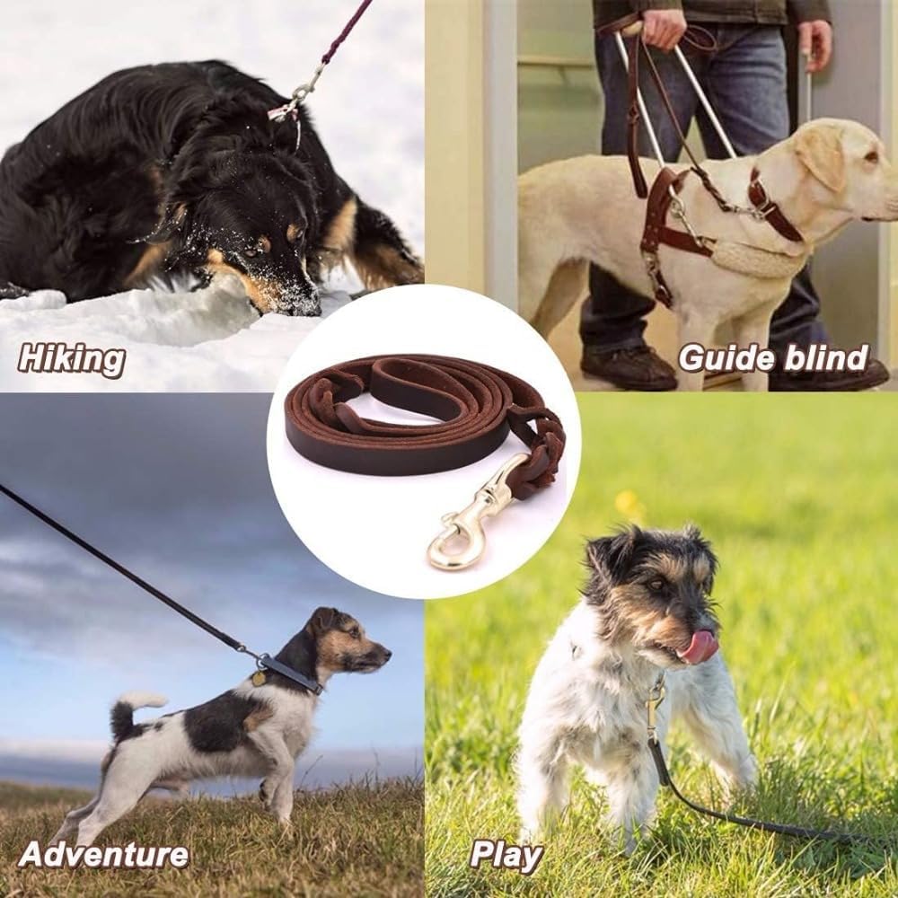 犬用リード革の大型/中型/小型犬用の犬の鎖編みこみの本革の行動トレーニングは、 アウトドアアドベンチャー、ハイキング、キャンプ、 ウォーキング用のロープをリードします (1.6m) thumbnail 4