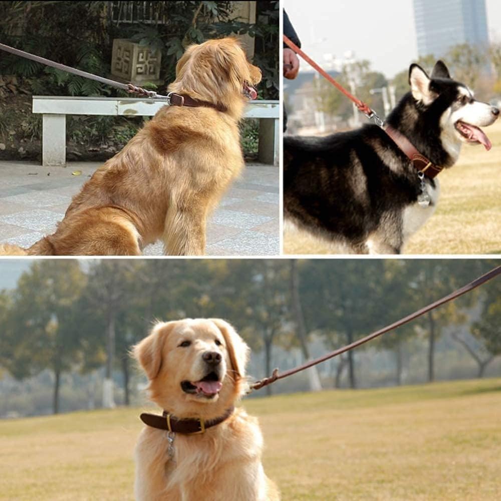 犬用リード革の大型/中型/小型犬用の犬の鎖編みこみの本革の行動トレーニングは、 アウトドアアドベンチャー、ハイキング、キャンプ、 ウォーキング用のロープをリードします (1.6m) thumbnail 5